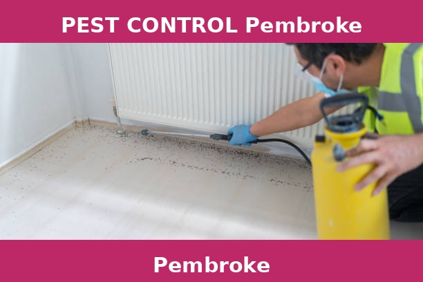 PEST CONTROL Pembroke